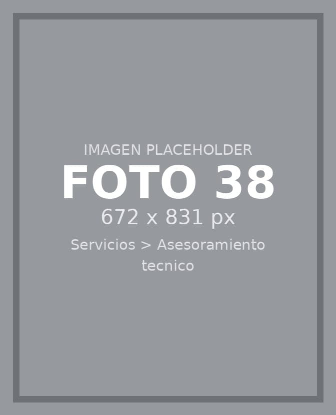 Asesoramiento técnico